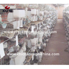 The New Type and Superior Fancy Pigeon Cages for Poultry Farm